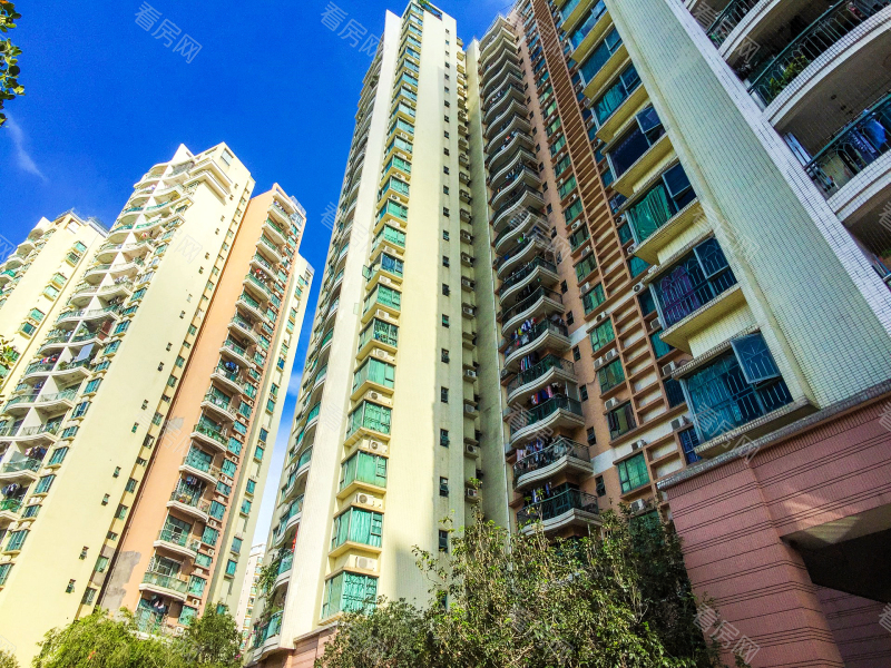 深圳丽景城小区信息图片13