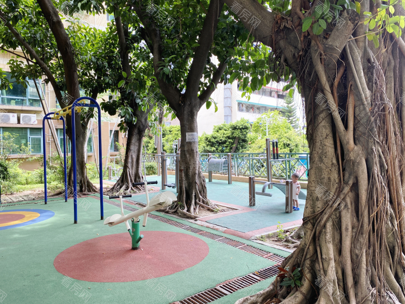 深圳学府花园小区信息图片6