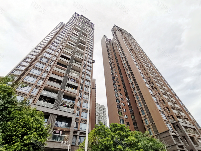 深圳中熙君南山小区信息图片8