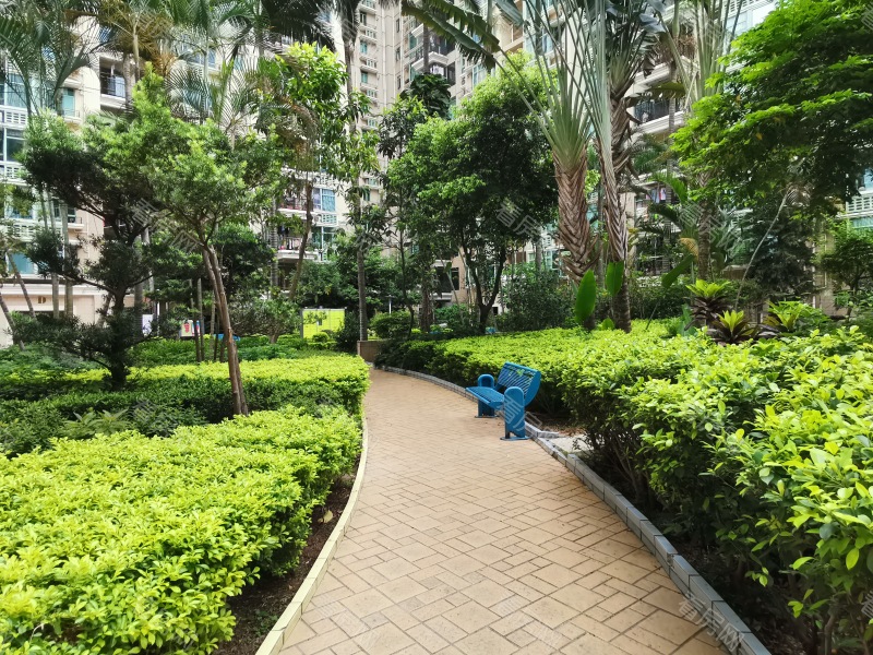 深圳缤纷假日豪园小区信息图片4