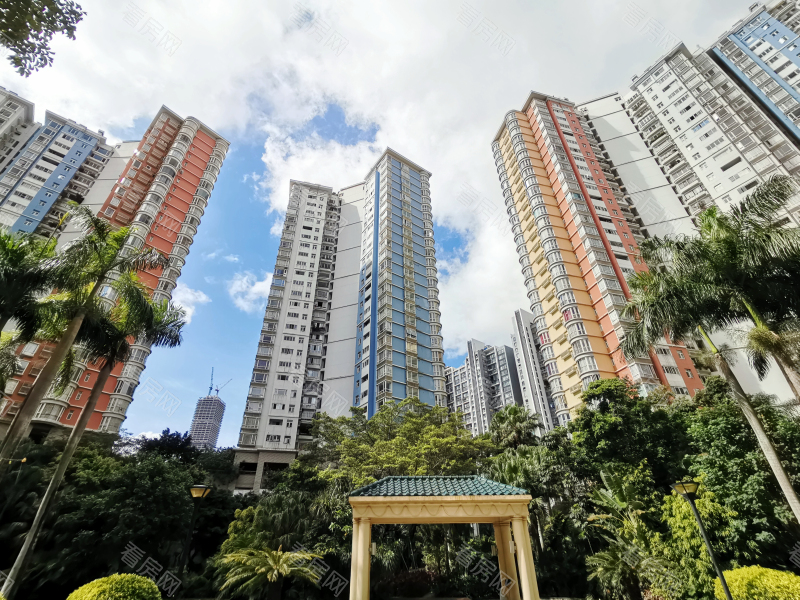 深圳世纪村三期小区信息图片5