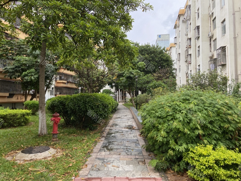 深圳福华新村小区信息图片7