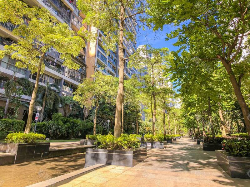 深圳深业新岸线三期小区信息图片5