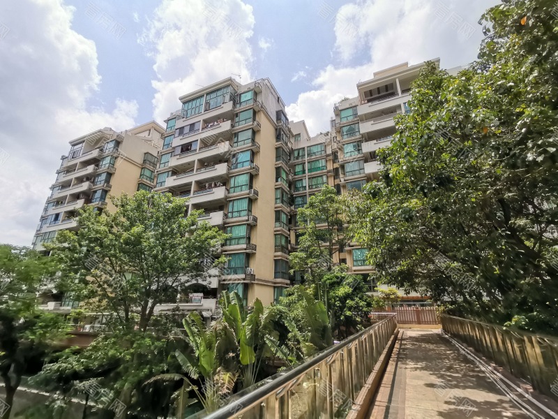 深圳合正锦园南区小区信息图片11