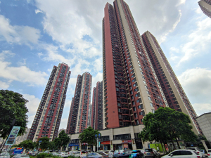 佛山万科金域中央BC区小区信息图片