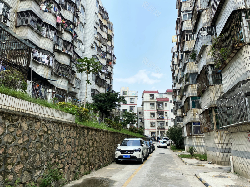 深圳德兴花园南区小区信息图片6