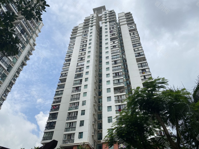 深圳名骏豪庭小区信息图片12