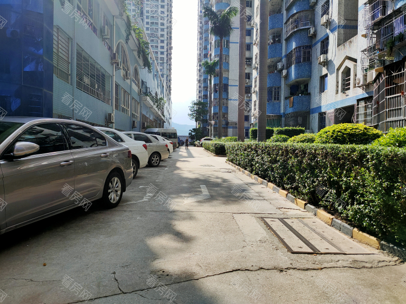 深圳国展苑小区信息图片4