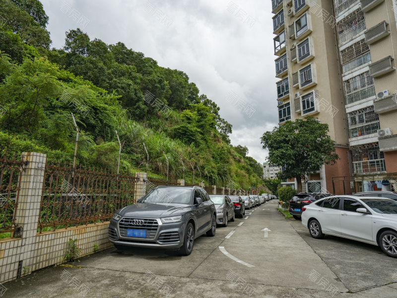 深圳梧桐山新居二期小区信息图片7