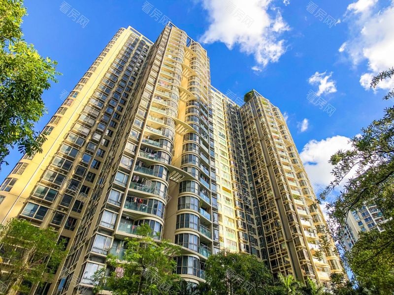 深圳金泓凯旋城一期小区信息图片13