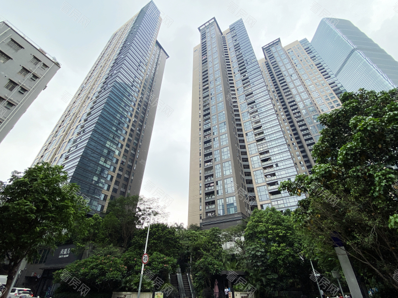 深圳京基滨河时代广场南区小区信息图片