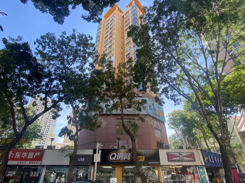 福田区  晨晖家园2座14M法拍房图片10