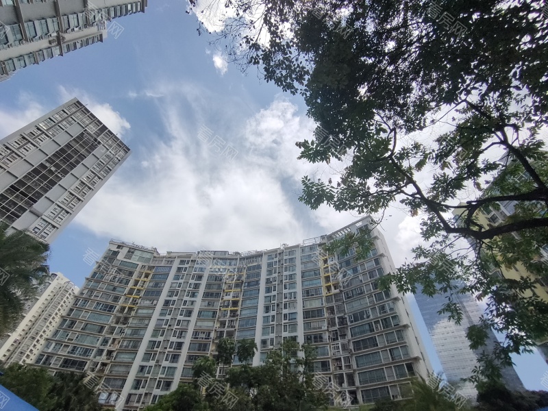 深圳滨海之窗小区信息图片10