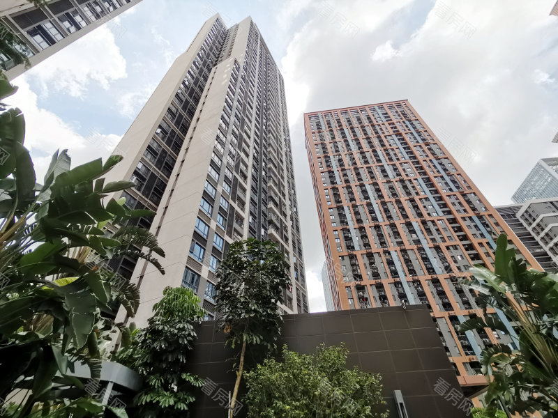 深圳大冲新城花园C区小区信息图片14