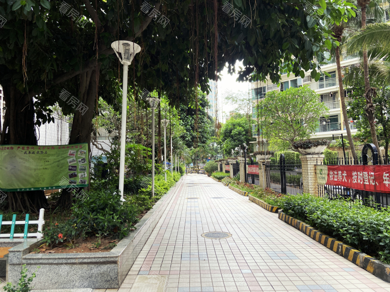 深圳合正佳园小区信息图片4