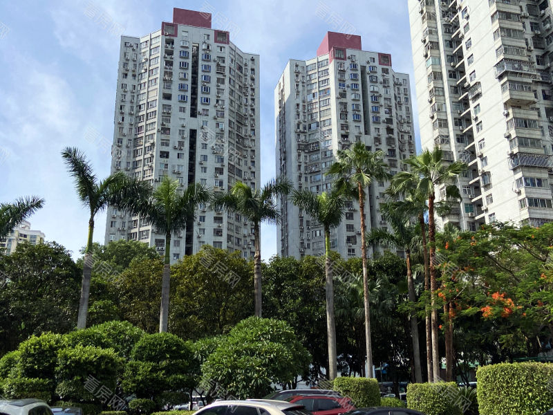 福田区  景苑大厦B座2106法拍房图片11