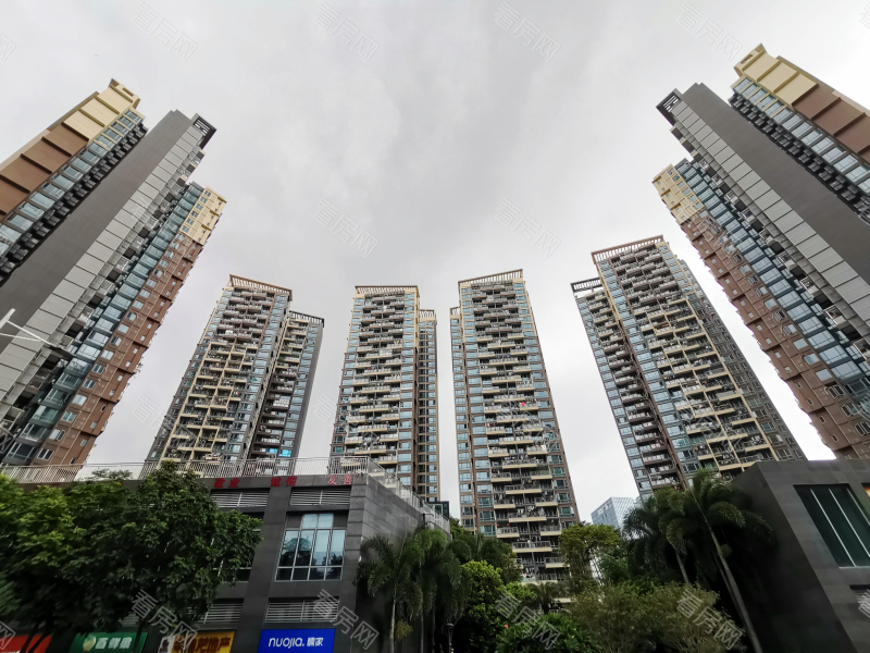 深圳京基御景印象一期小区信息图片7