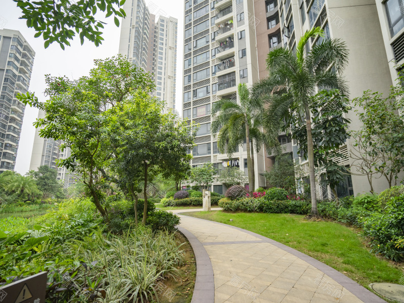 珠海碧水岸小区信息图片5