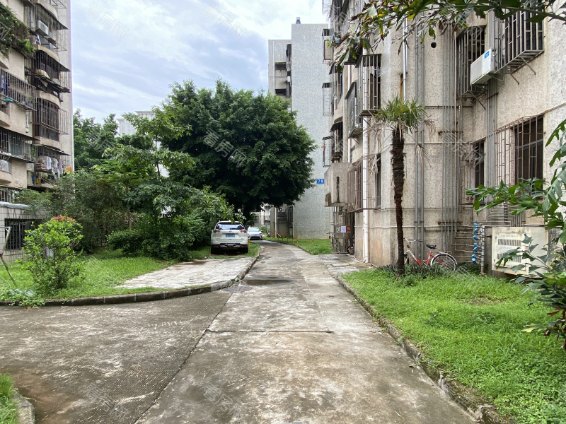 深圳深大新村小区信息图片5