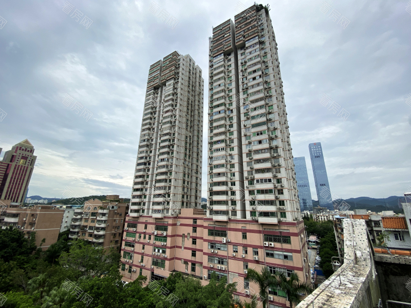 深圳现代苑小区信息图片7