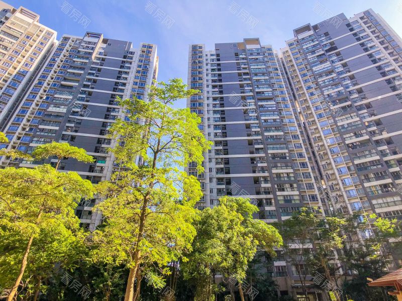 深圳深业新岸线三期小区信息图片10