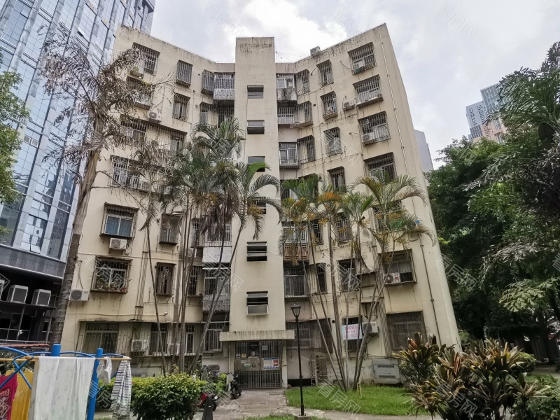 深圳康乐园小区信息图片10