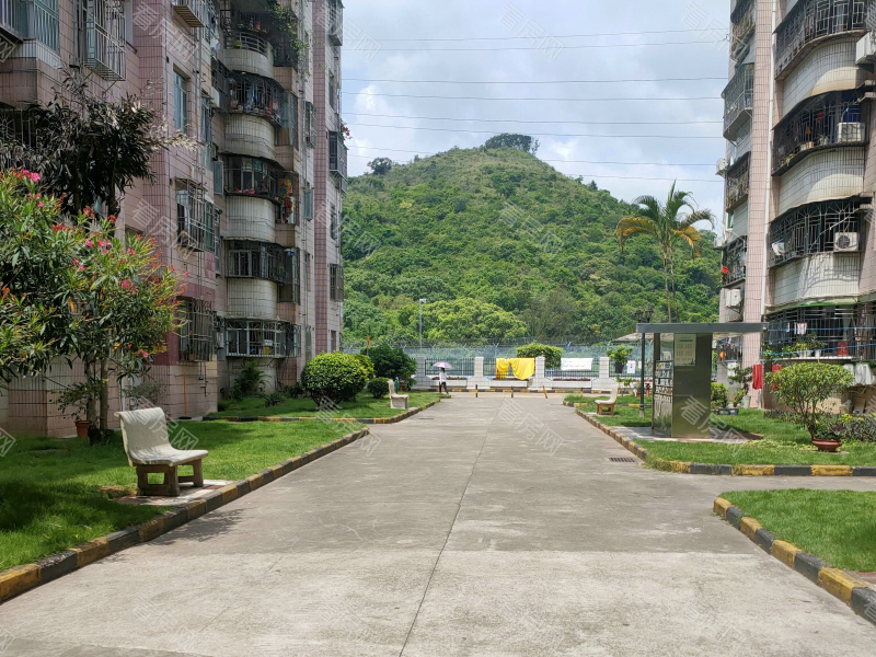 深圳惠名花园小区信息图片3