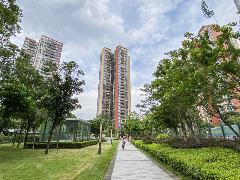 深圳中粮凤凰里小区信息图片41