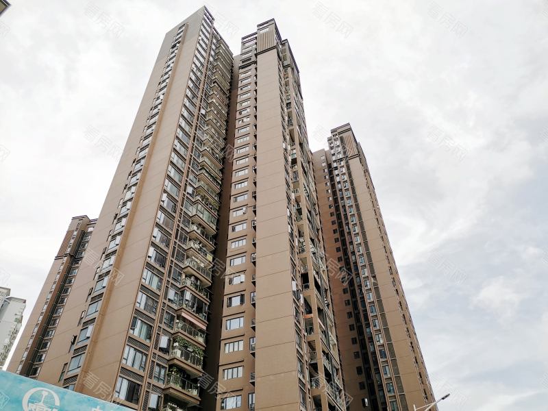 深圳中熙君南山小区信息图片7