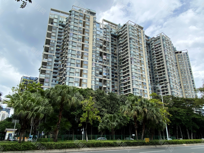 深圳碧海云天二期小区信息图片12