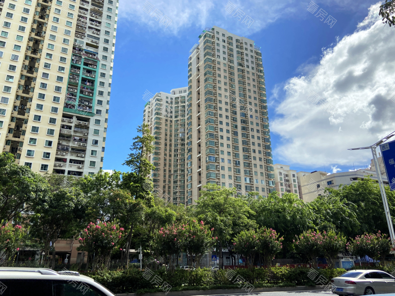 福田区  福田花园大厦B栋2605法拍房图片1