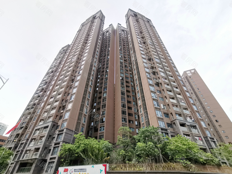 深圳中熙君南山小区信息图片5