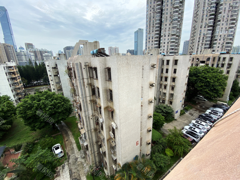 深圳深大新村小区信息图片9