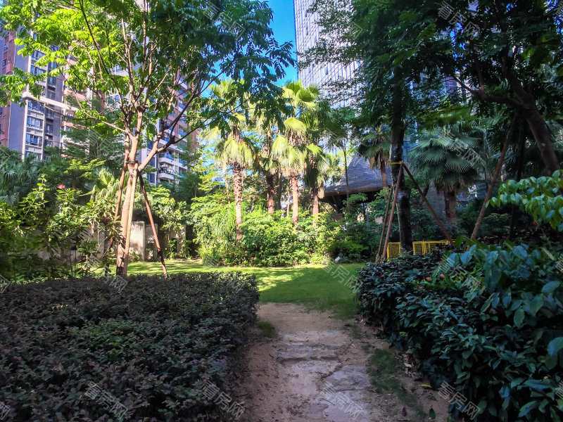 深圳中熙香缤山小区信息图片43