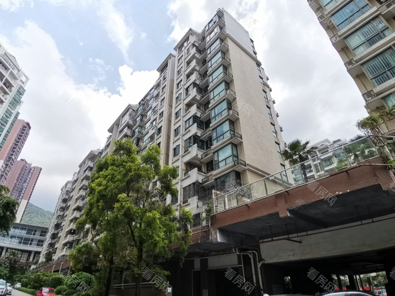 深圳合正锦园北区小区信息图片8