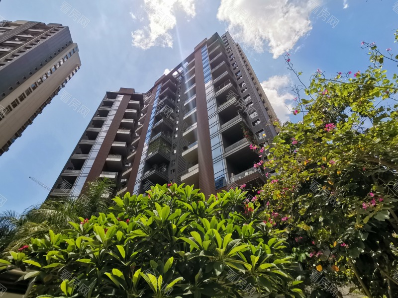 深圳红树别院小区信息图片11