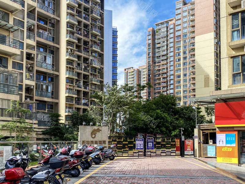 深圳同和悦园小区信息图片2