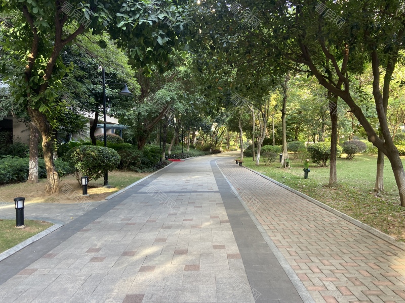 深圳城市山林一期小区信息图片9