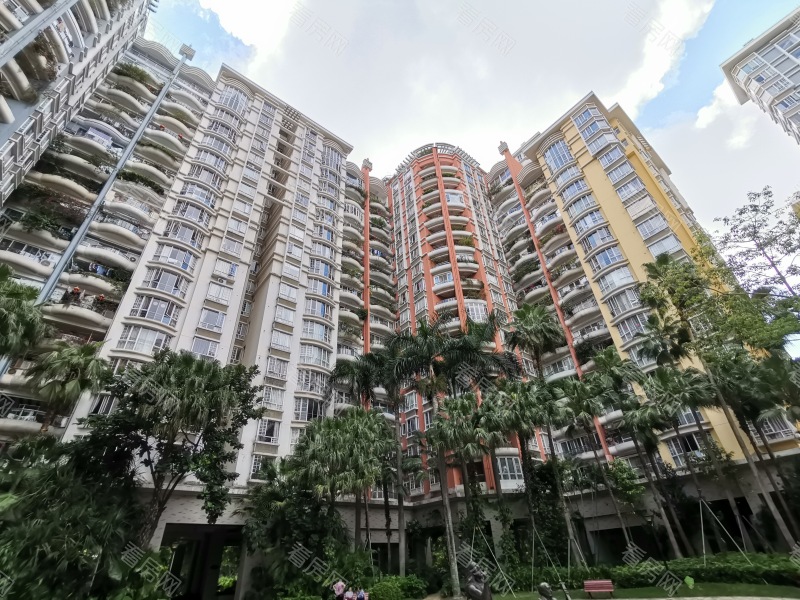 深圳世纪村三期小区信息图片6