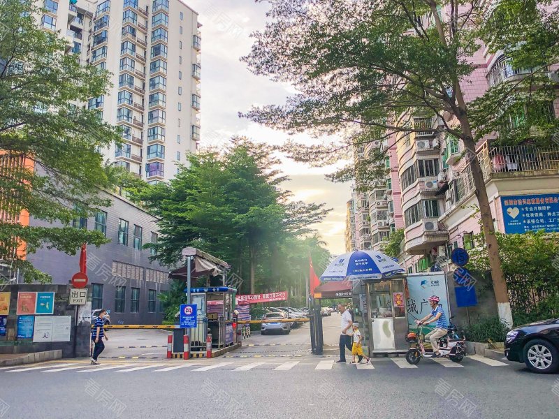 深圳卡罗社区小区信息图片4