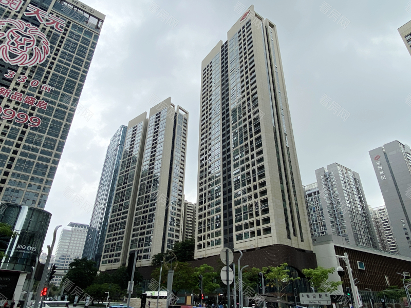 深圳中心天元小区信息图片8