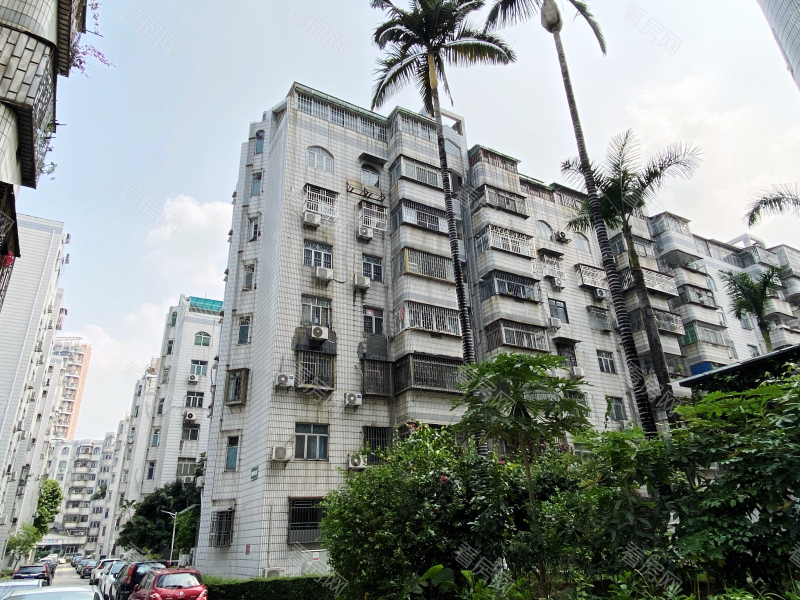 深圳德兴花园南区小区信息图片14