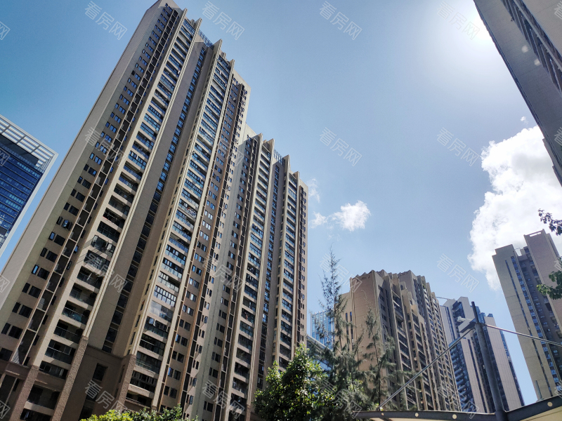 深圳大冲城市花园小区信息图片7