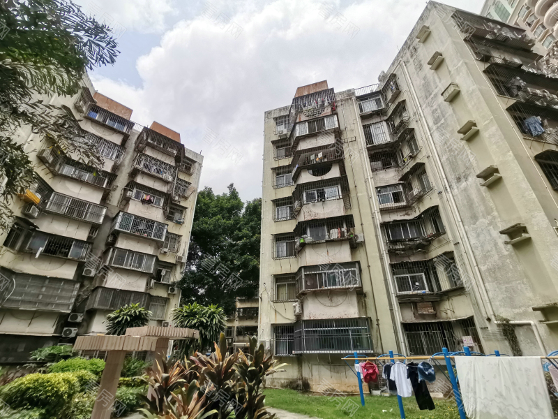 深圳康乐园小区信息图片11