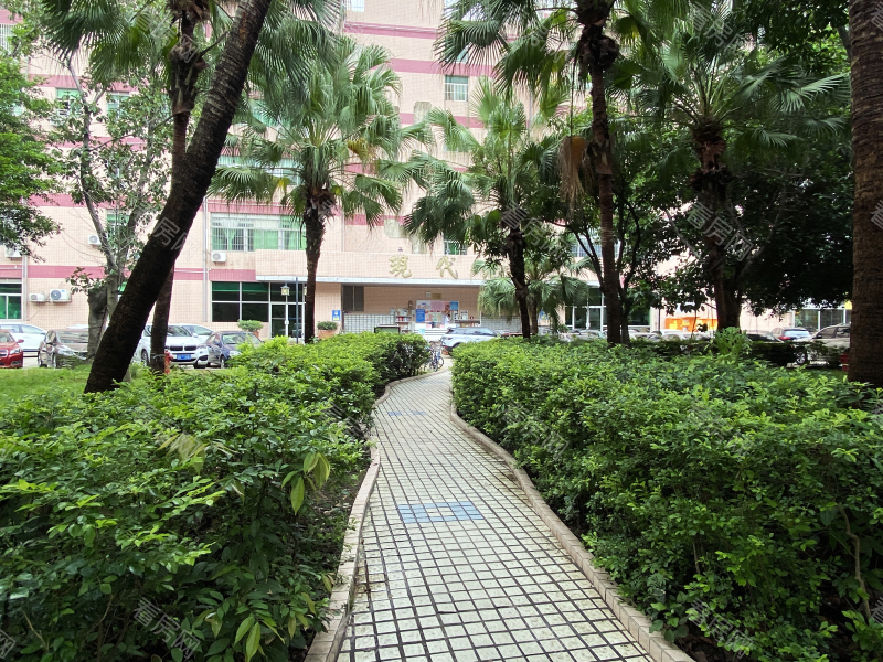 深圳现代苑小区信息图片3