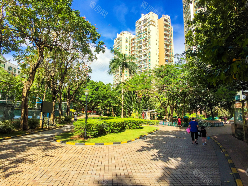 深圳丽景城小区信息图片7