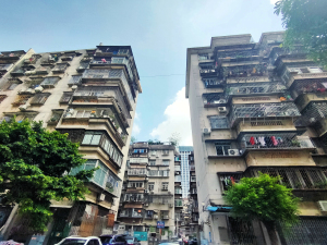 深圳松园南小区小区信息图片