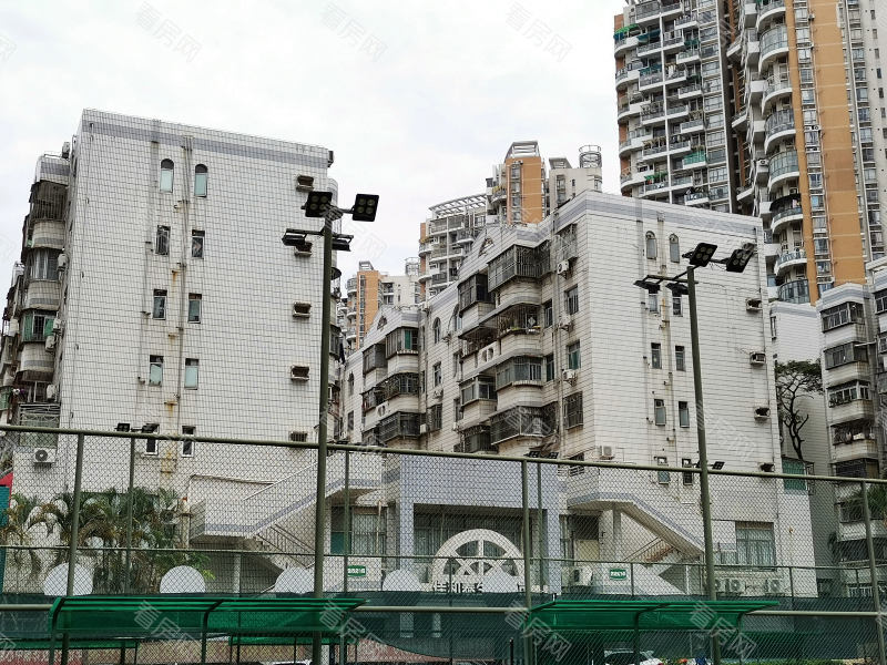 深圳德兴花园北区小区信息图片2