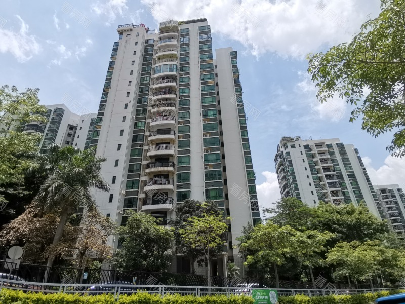 深圳仙桐御景小区信息图片11