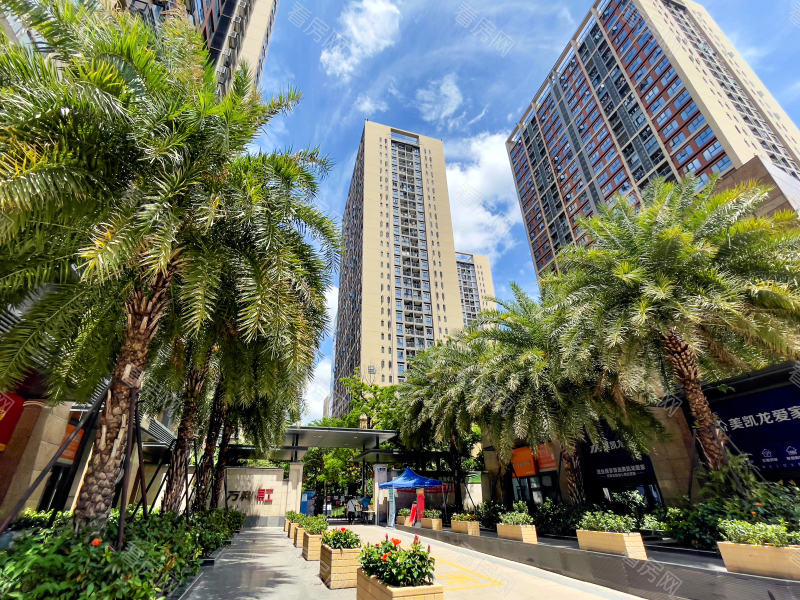 深圳万科红三期小区信息图片8